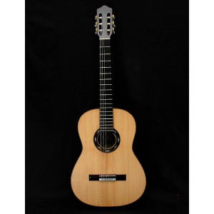 Classical guitar with indian rosewood